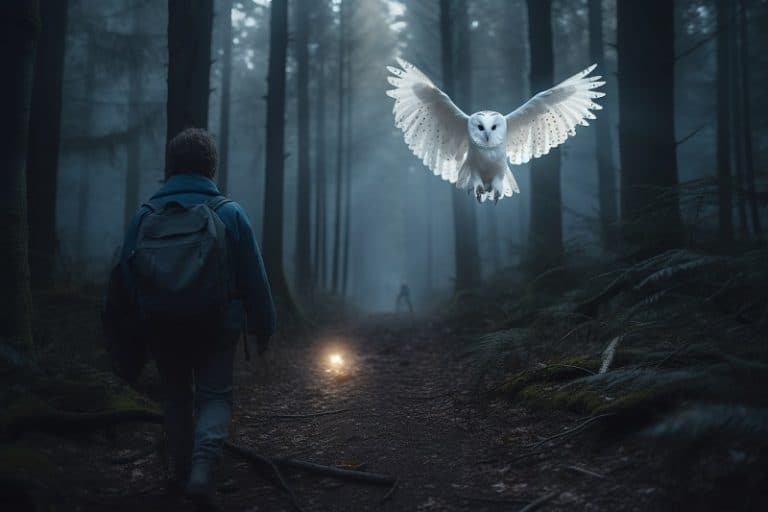 What Does It Mean Spiritually When You See A White Owl