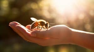 10 Spiritual Meanings Of Bees Flying Around You Or Following You